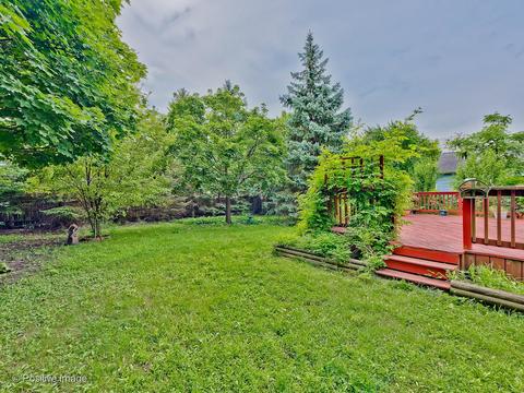 999 Split Rail Dr, Carol Stream, IL 60188 photo 22