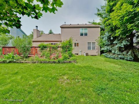 999 Split Rail Dr, Carol Stream, IL 60188 photo 21