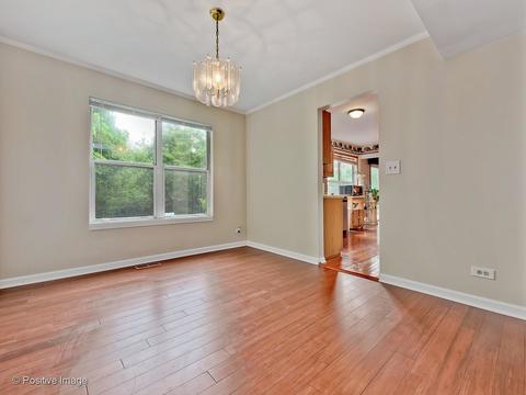 999 Split Rail Dr, Carol Stream, IL 60188 photo 6