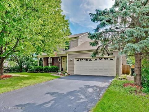 999 Split Rail Dr, Carol Stream, IL 60188 photo 2