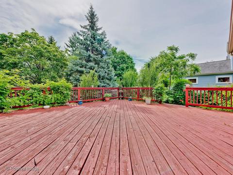 999 Split Rail Dr, Carol Stream, IL 60188 photo 23