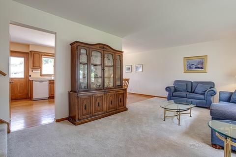 245 Hatlen Ave, Mount Prospect, IL 60056 photo 6