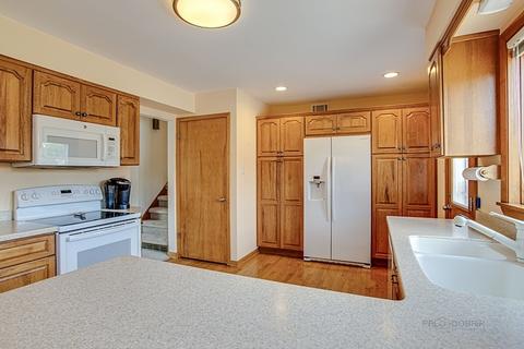 245 Hatlen Ave, Mount Prospect, IL 60056 photo 9