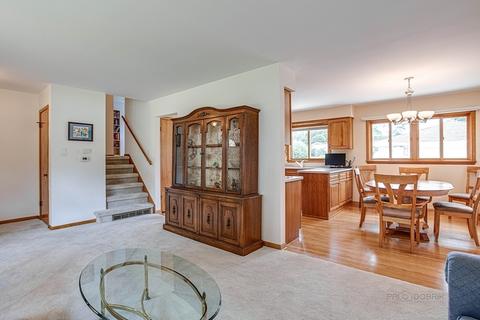 245 Hatlen Ave, Mount Prospect, IL 60056 photo 7