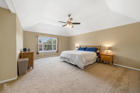 15236 Hamlin St, Plainfield, IL 60544 photo 20