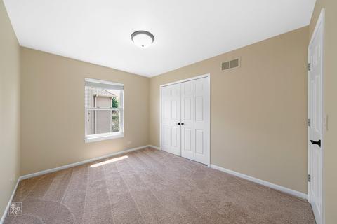 15236 Hamlin St, Plainfield, IL 60544 photo 19