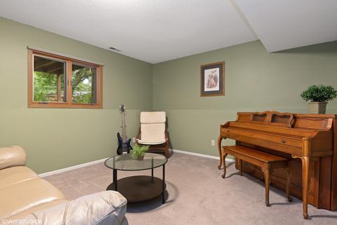 10108 Victor Pl, Algonquin, IL 60102 photo 10
