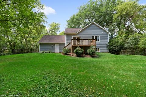 10108 Victor Pl, Algonquin, IL 60102 photo 14