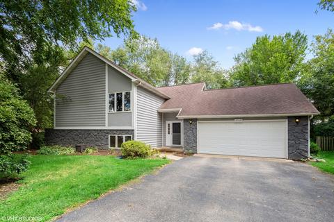 10108 Victor Pl, Algonquin, IL 60102 photo 1