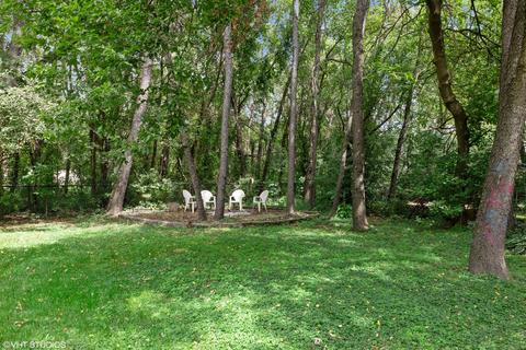 10108 Victor Pl, Algonquin, IL 60102 photo 16
