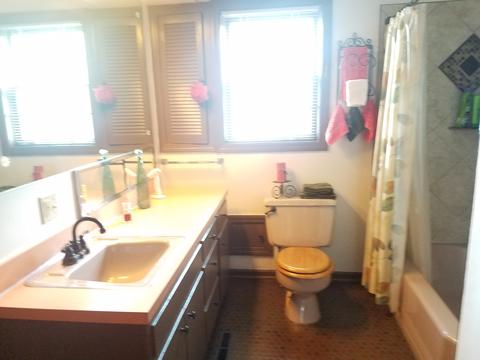 725 Bangs St, Aurora, IL 60505 photo 20