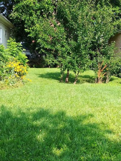 5638 S 74th Ave, Summit, IL 60501 photo 2