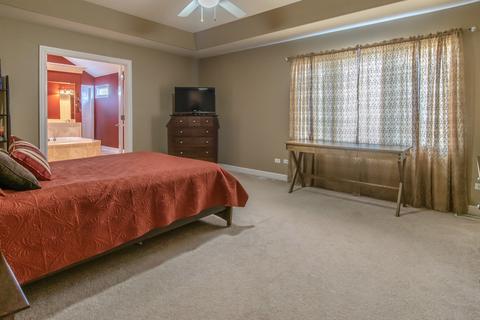 25206 N Indian Boundary Ct, Plainfield, IL 60544 photo 39