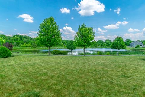 25206 N Indian Boundary Ct, Plainfield, IL 60544 photo 9