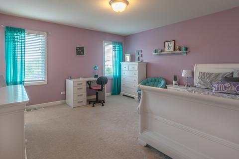 25206 N Indian Boundary Ct, Plainfield, IL 60544 photo 52