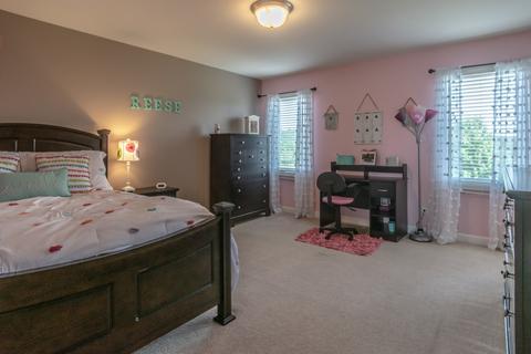 25206 N Indian Boundary Ct, Plainfield, IL 60544 photo 49