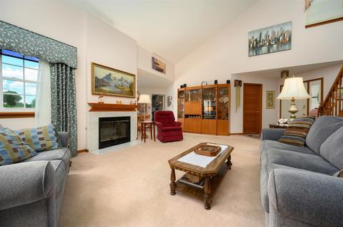 21259 Silktree Cir, Plainfield, IL 60544 photo 5