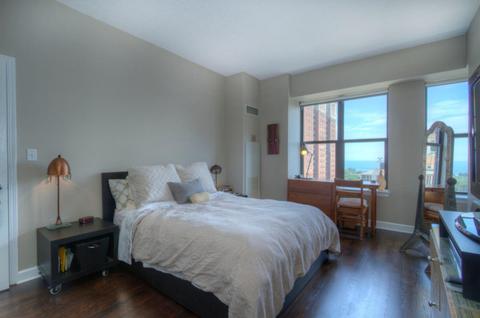 41 E 8th St #1501, Chicago, IL 60605 photo 6