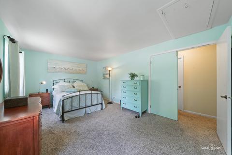 1659 Bicek Dr, Hoffman Estates, IL 60192 photo 13