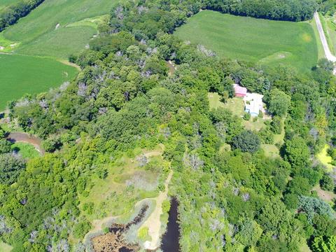 4805 S Old Mazon Rd, Mazon, IL 60444 photo 25