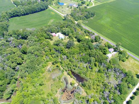 4805 S Old Mazon Rd, Mazon, IL 60444 photo 24