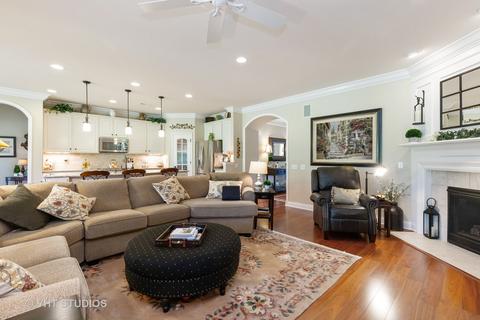 856 Cascade Falls Dr, Elgin, IL 60124 photo 7