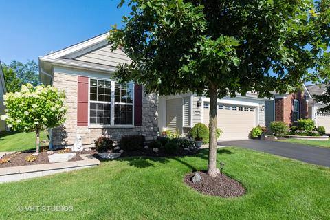 856 Cascade Falls Dr, Elgin, IL 60124 photo 2