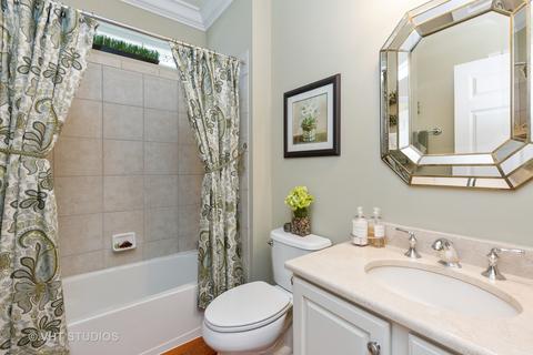 856 Cascade Falls Dr, Elgin, IL 60124 photo 21