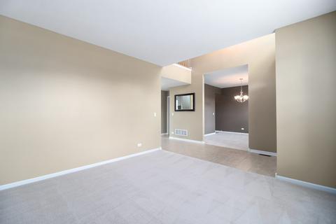 25505 Pavilion Pl, Plainfield, IL 60585 photo 15