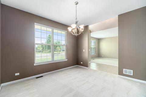 25505 Pavilion Pl, Plainfield, IL 60585 photo 13