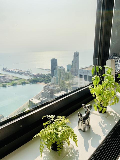 175 E Delaware Pl #8106, Chicago, IL 60611 photo 5