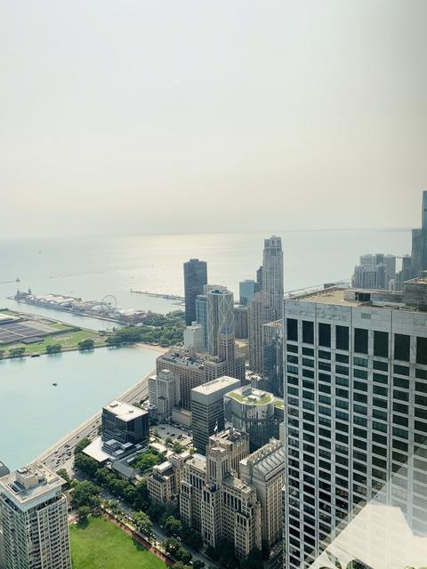175 E Delaware Pl #8106, Chicago, IL 60611 photo 16