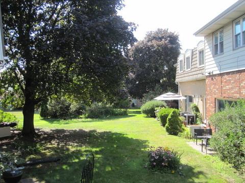 8818 Plainfield Rd, Brookfield, IL 60513 photo 12