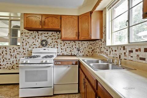 1039 S 3rd Ave, Des Plaines, IL 60016 photo 8