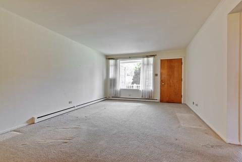 1039 S 3rd Ave, Des Plaines, IL 60016 photo 3