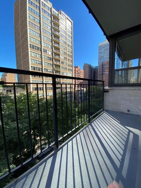33 E Cedar St #7E, Chicago, IL 60611 photo 12