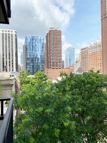 33 E Cedar St #7E, Chicago, IL 60611 photo 15