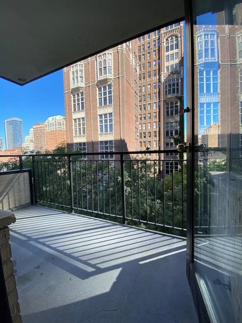 33 E Cedar St #7E, Chicago, IL 60611 photo 13