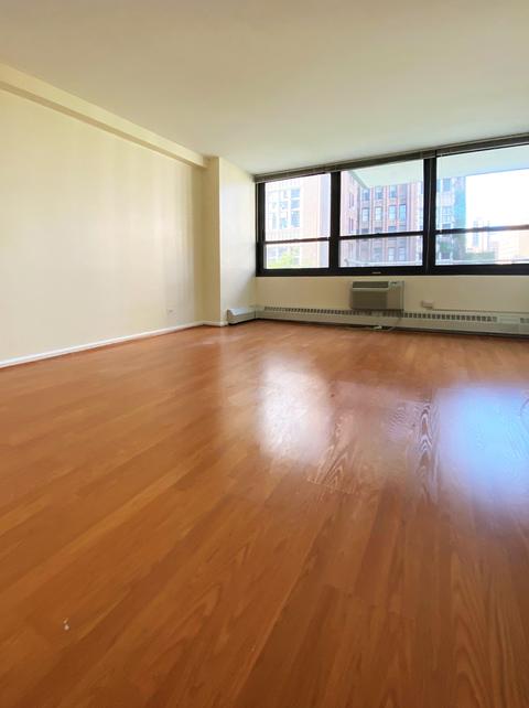 33 E Cedar St #7E, Chicago, IL 60611 photo 11
