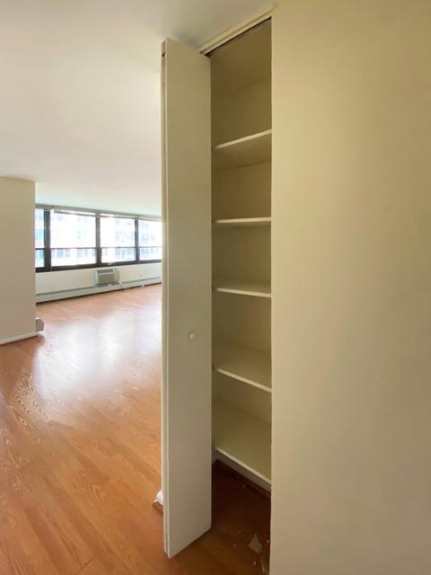 33 E Cedar St #7E, Chicago, IL 60611 photo 10
