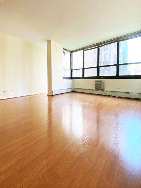 33 E Cedar St #7E, Chicago, IL 60611 photo 5