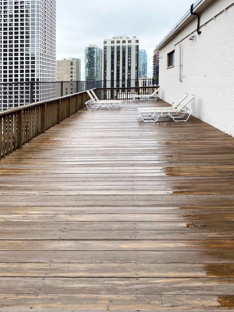 33 E Cedar St #7E, Chicago, IL 60611 photo 18