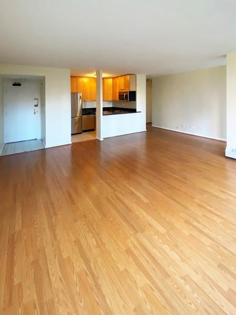 33 E Cedar St #7E, Chicago, IL 60611 photo 3