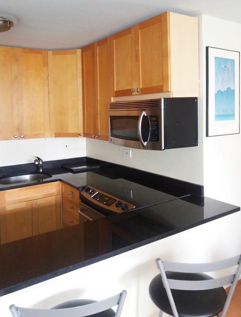 33 E Cedar St #7E, Chicago, IL 60611 photo 7