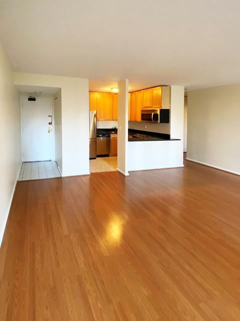 33 E Cedar St #7E, Chicago, IL 60611 photo 4