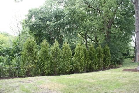 1948 Smith Rd, Northbrook, IL 60062 photo 18