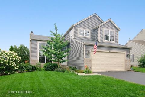 7410 Kenicott Ln, Plainfield, IL 60586 photo 1