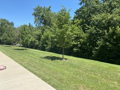105 E Lincoln St #J, Normal, IL 61761 photo 24