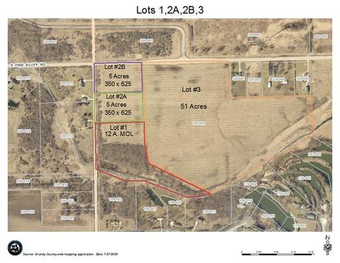 4200 Pine Bluff Rd, Morris, IL 60450 photo 2