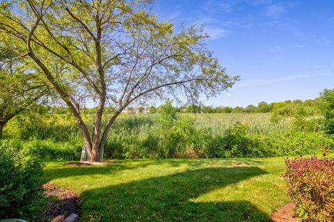 1204 Coldspring Rd, Elgin, IL 60120 photo 27